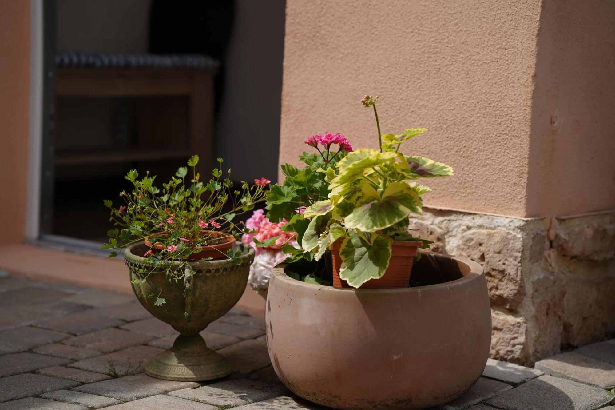 קיצינגן Ferienwohnung Philipps מראה חיצוני תמונה